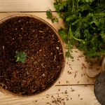 Thumbnail for Gummadi Foods Kothimeera Karam - Distacart