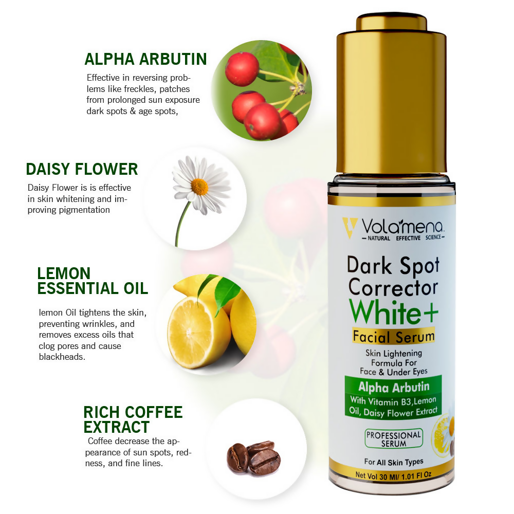 download - 2024-11-23T140458.131