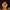 flower_286