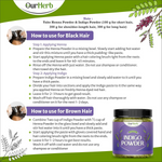 Thumbnail for download - 2024-09-28T161227.090