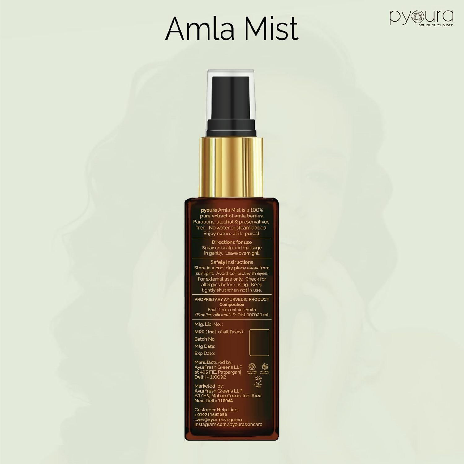 download - 2024-11-11T103554.078