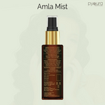 Thumbnail for download - 2024-11-11T103554.078