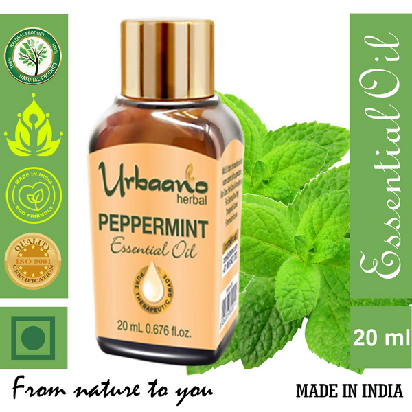 download - 2025-05-06T113421.872