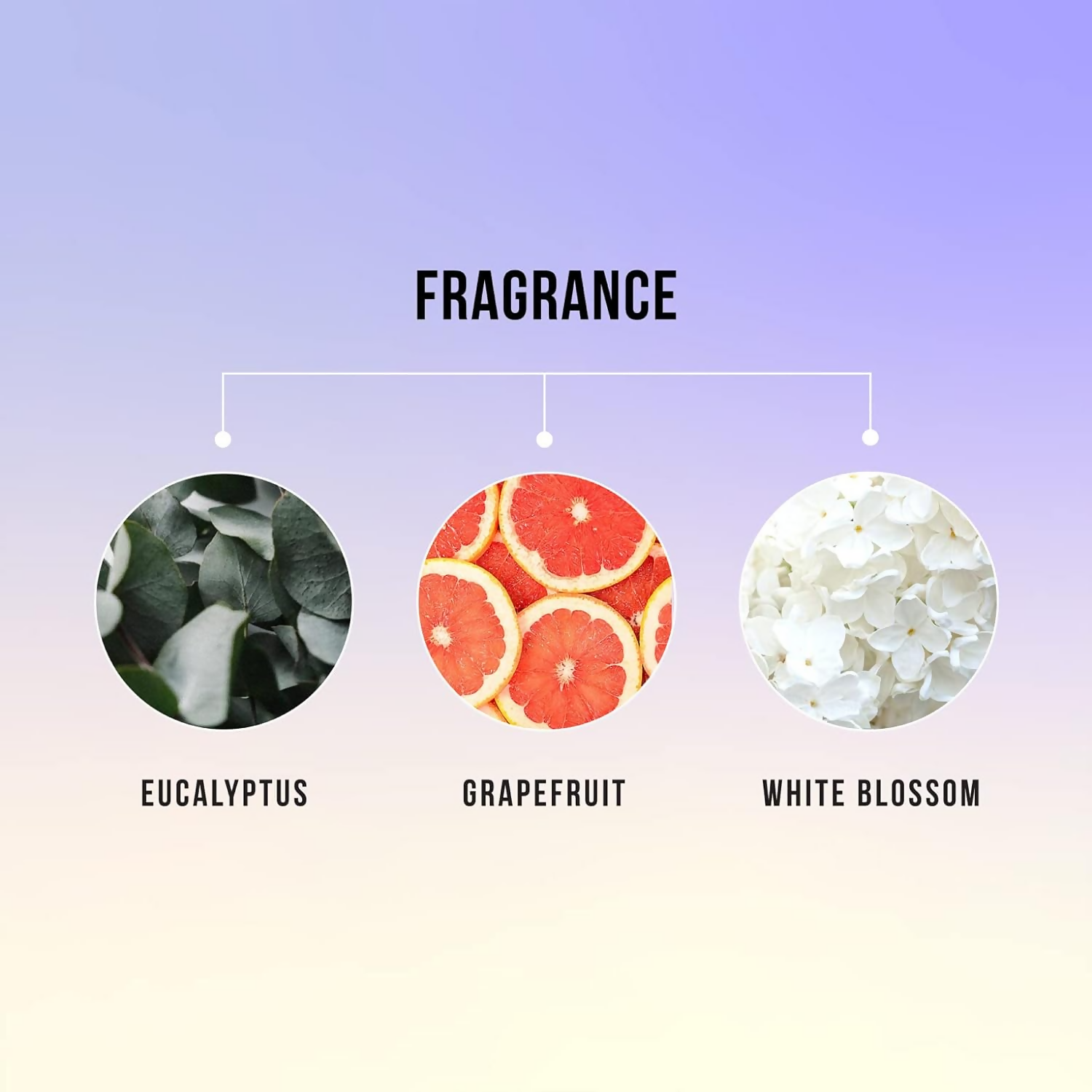 HASK Biotin Boost Thickening Shampoo & Conditioner - Distacart