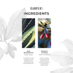 Thumbnail for download - 2024-10-07T114901.258