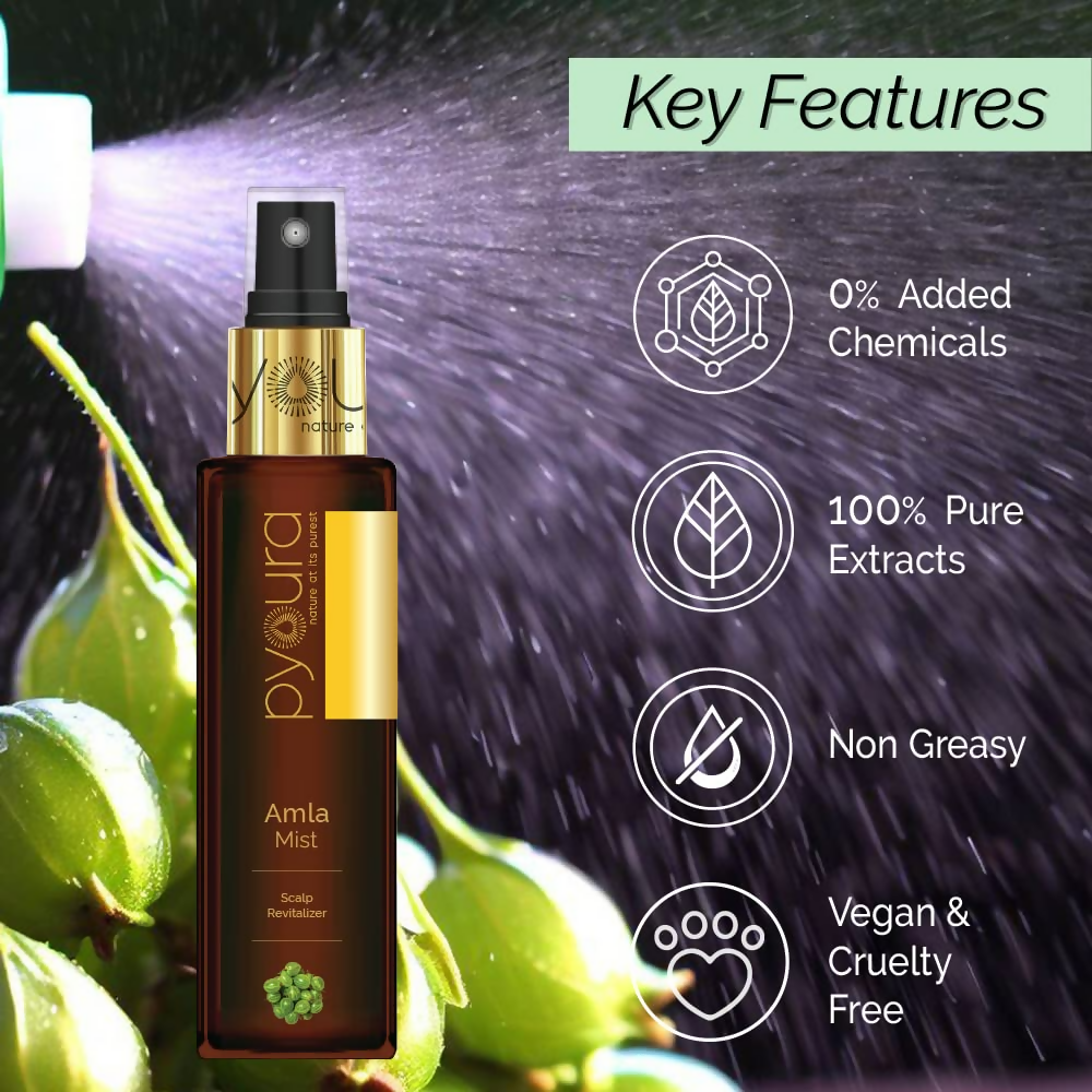 download - 2024-11-11T103525.234