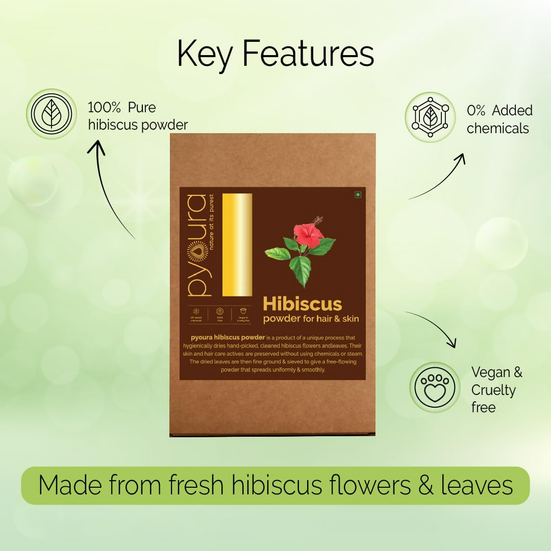 download - 2024-11-11T133622.605