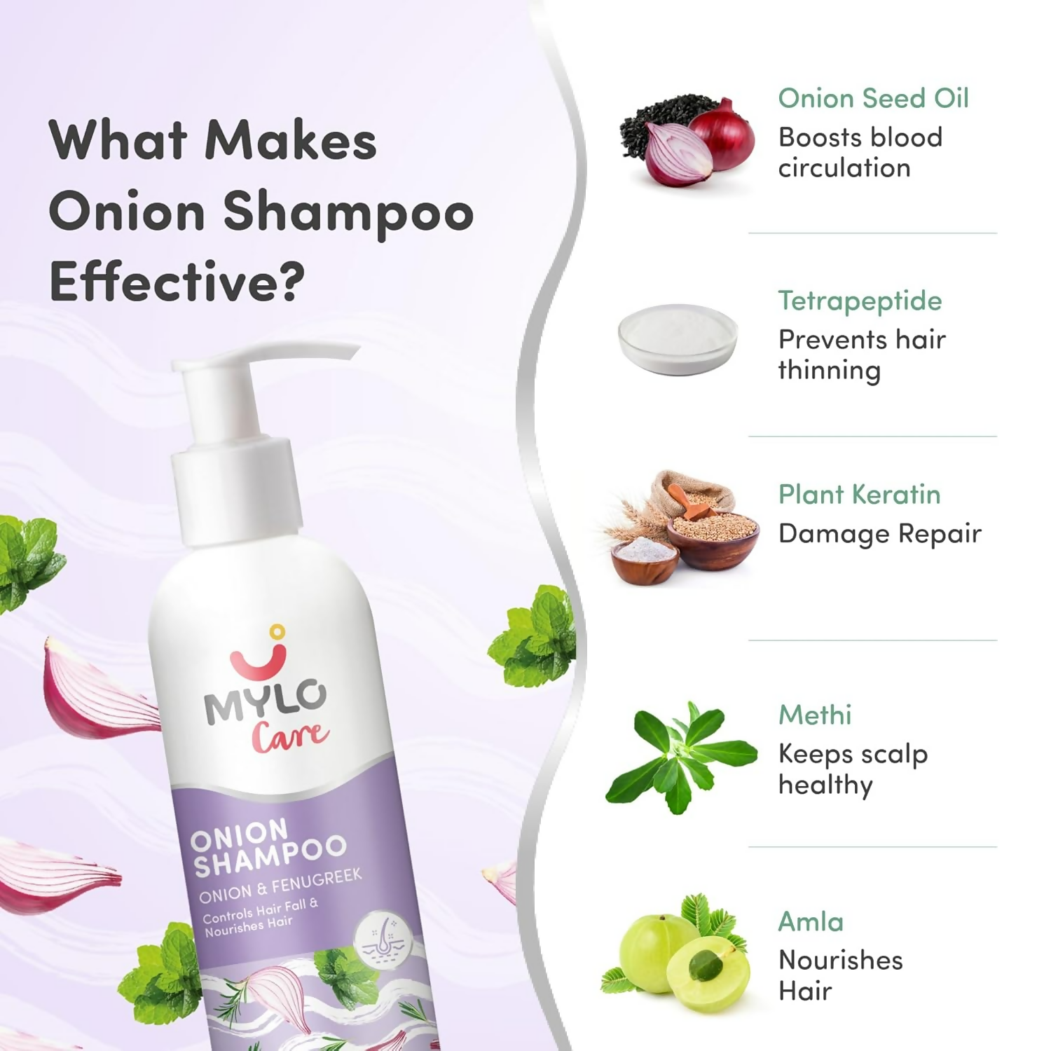 download - 2025-01-24T161222.036