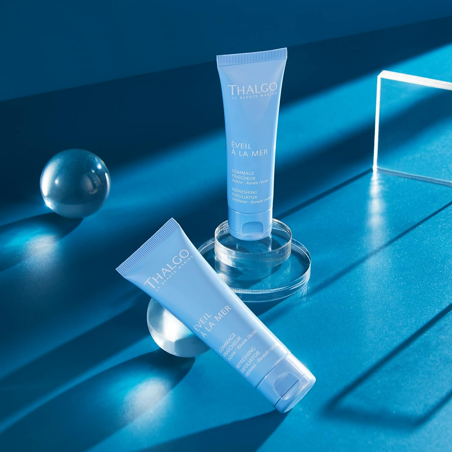 download - 2024-12-17T120649.802