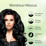 Thumbnail for download - 2024-11-11T133634.738