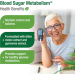 Thumbnail for Blood Sugar Metabolism 05