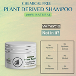 Thumbnail for Ktein Natural Chemical Free Plant Derived Shampoo & Conditioner Combo - Distacart