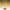 download - 2024-11-08T113210.849