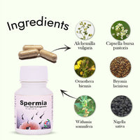Thumbnail for Hashmi Spermia Capsules – May Support Energy Levels, Vitality, and Physical Strength in Men