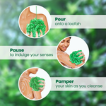 Thumbnail for download - 2024-10-26T190022.703