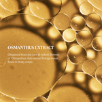 Thumbnail for download - 2024-09-23T170118.765