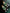 flower_227
