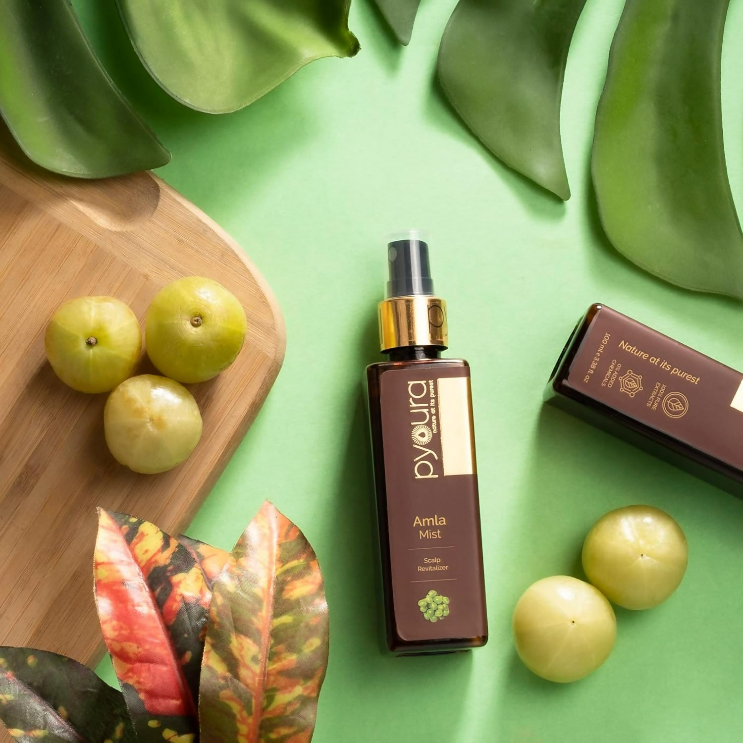 download - 2024-11-11T103518.654