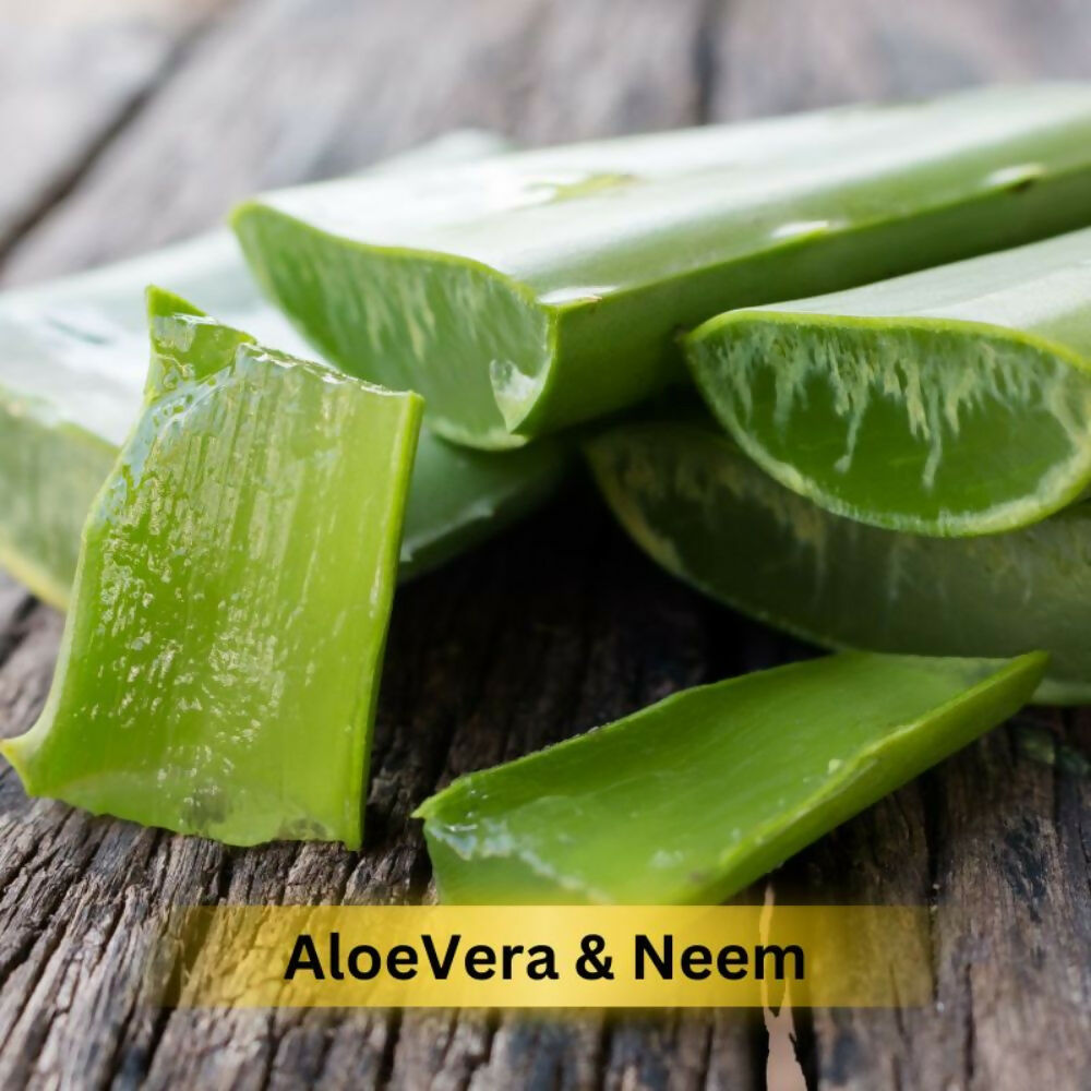Prakriti Herbal Soap Aloevera and Neem - Distacart