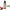Ancient Living Hibiscus Bhringraj Hair Oil ingredients