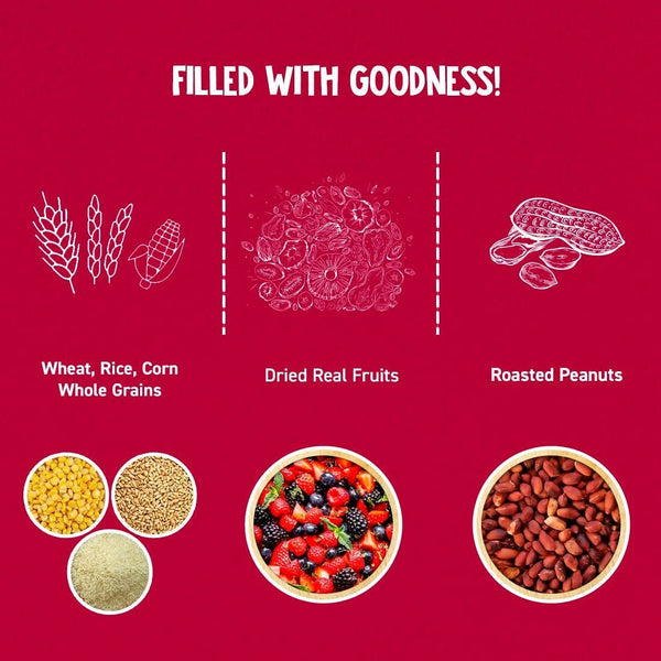 Alpino High Protein Super Muesli Fruit & Nuts - Distacart