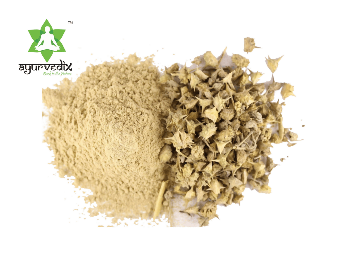 Ayurvedix Organic Gokshura Powder - Distacart