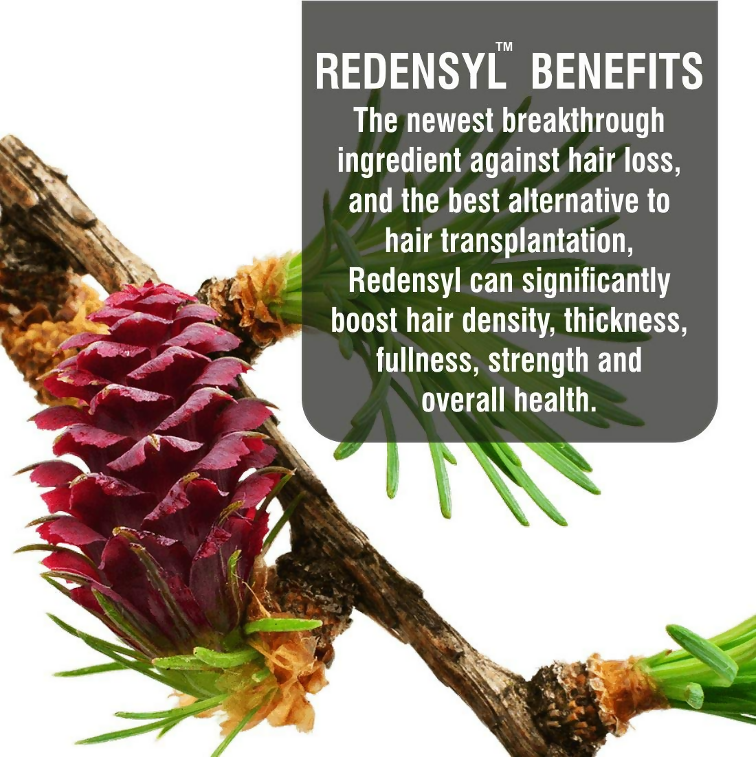 LA Organo Moroccan Multi-Purpose Hair Growth Oils Combo - Distacart