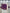 DEIANA'S Gota Patch Gamthi Work Lace Lehenga Choli - Wine