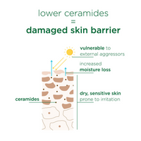 Thumbnail for Simple Skin Barrier Cream Cleanser