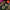 flower_249