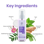 Thumbnail for download - 2024-10-25T153523.647