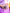 flower_325