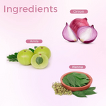 Thumbnail for download - 2024-10-30T131704.188