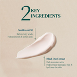 Thumbnail for download - 2024-09-23T120344.919