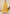 Vegaa Fashion Yellow Premium Chinon Embroidered Palazzo Suit