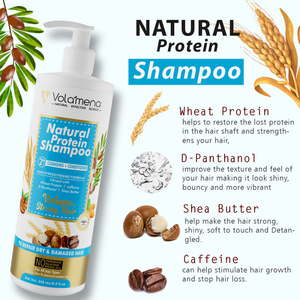 download - 2024-11-23T144449.830