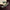 flower_283