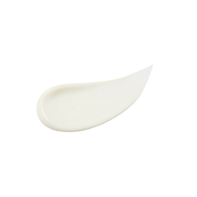 download - 2024-08-28T163104.041