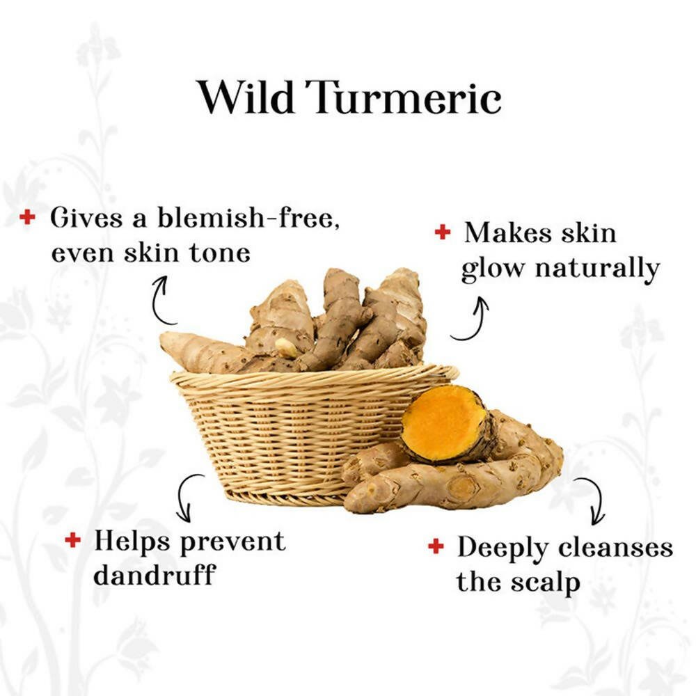 Alps Goodness Wild Turmeric Powder - Distacart