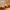 download - 2024-09-24T124101.058