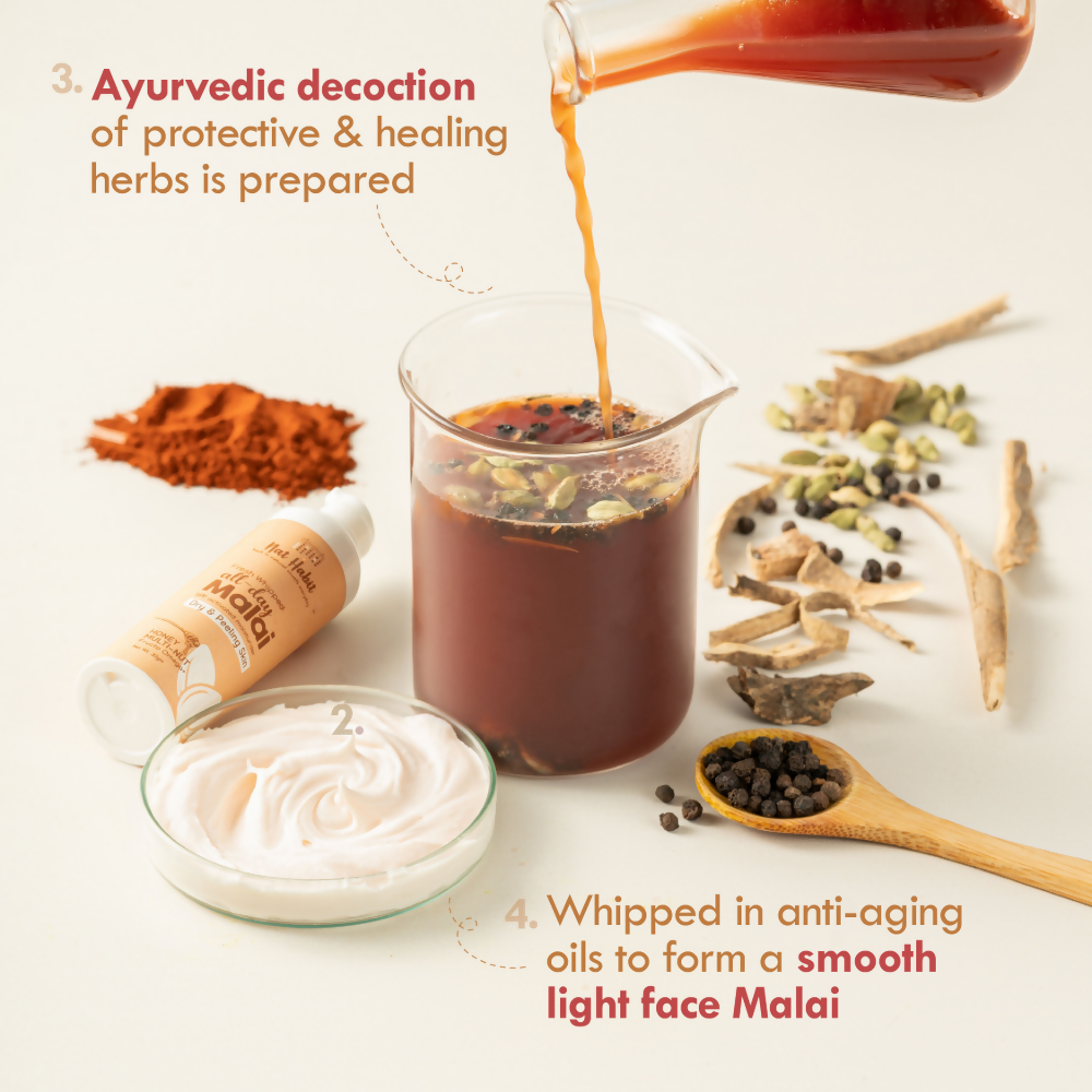 download - 2025-02-12T114751.135 (1)