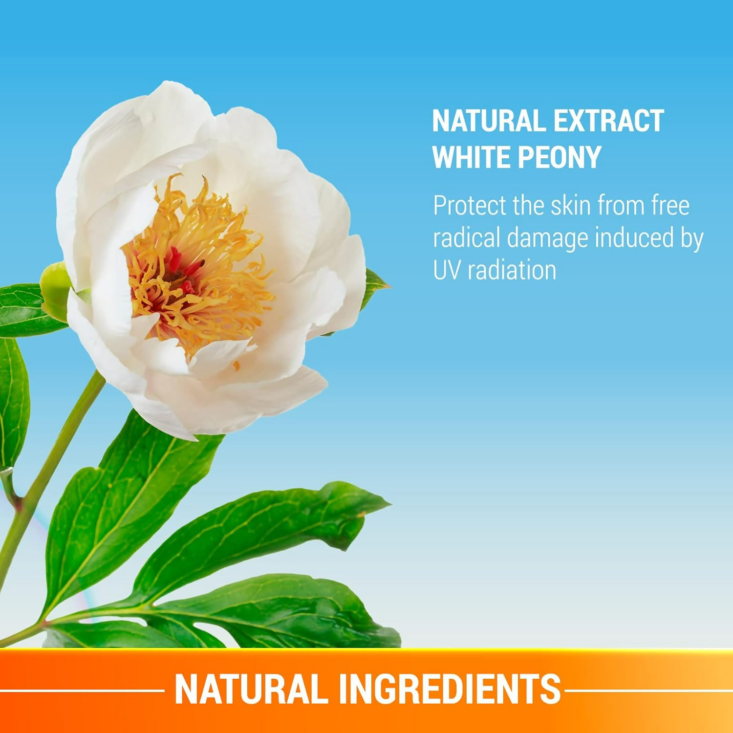 Lotus Herbals UV Shield Whitening Gel Creme - Distacart