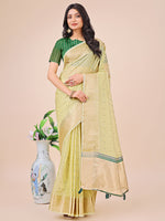 Thumbnail for Aanika Women Light Green Organza Saree With UnStiched Blouse - Distacart