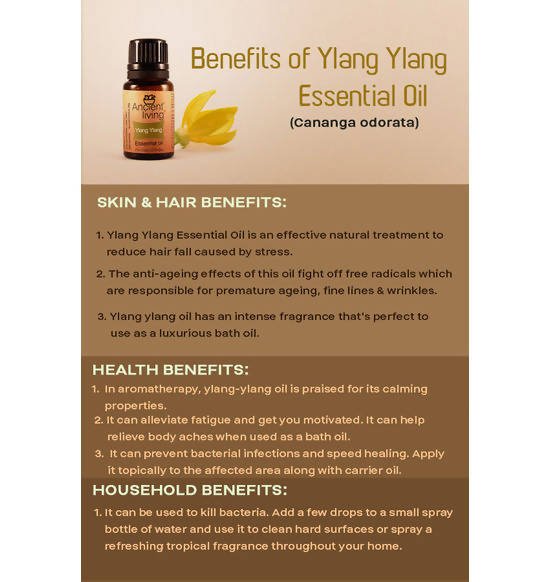 Ancient Living Ylang Ylang Essential Oil - Distacart