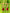 STB40-D178 (1)