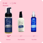 Thumbnail for download - 2024-11-11T111721.850