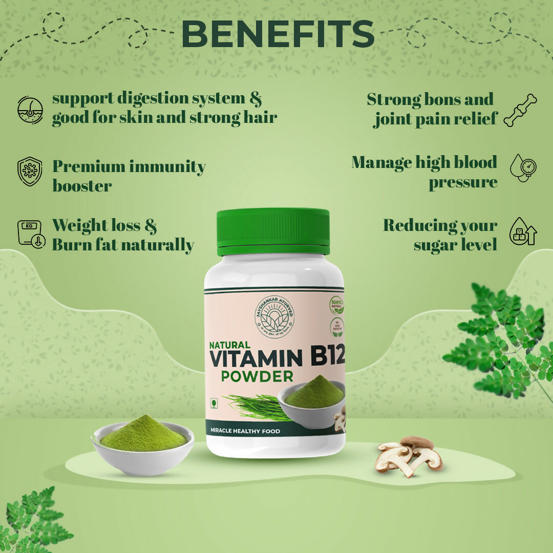 B12-100-GM-4