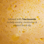 Thumbnail for download - 2024-09-23T151059.770