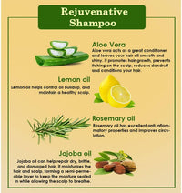 Thumbnail for Ancient Living Rejuvenative Shampoo - Distacart