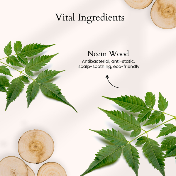 download - 2025-07-02T152541.908